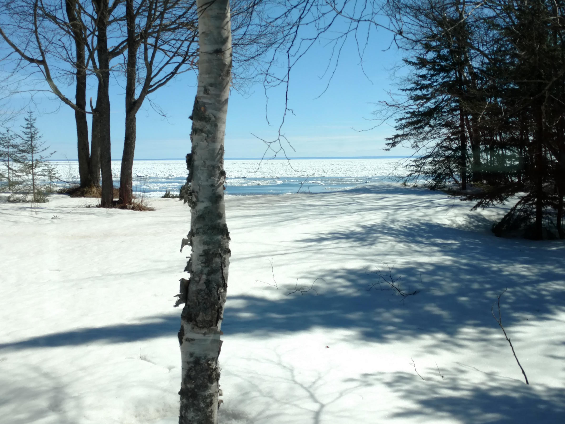8384 North Whitefish Point Road Paradise, MI 49768 - Photo 26 of 33 Gallery Image 26