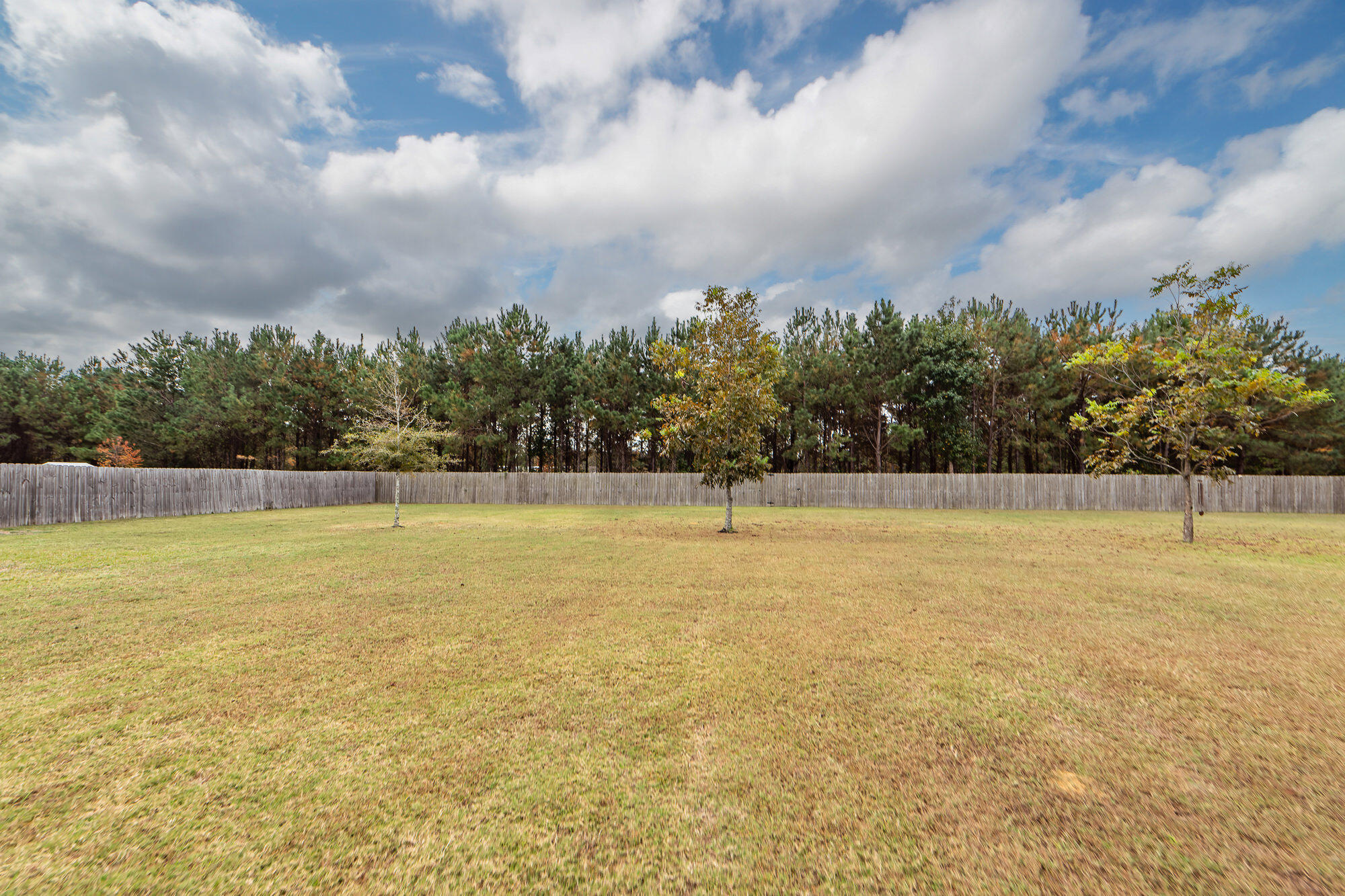 691 Campbell Road Ridgeville, SC 29472 - Photo 56 of 75 57
