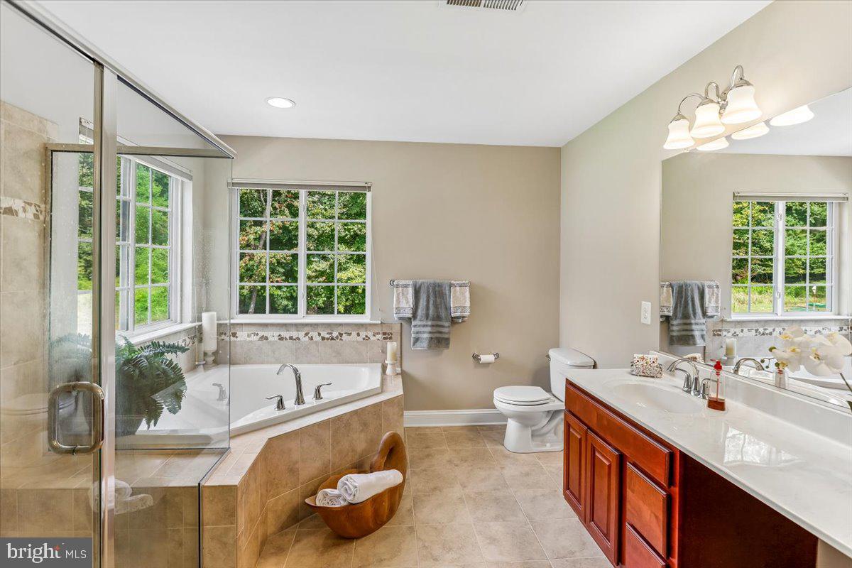 6411 Montgomery Road Elkridge, MD 21075 - Photo 32 of 40 Spa Like Primary Bath