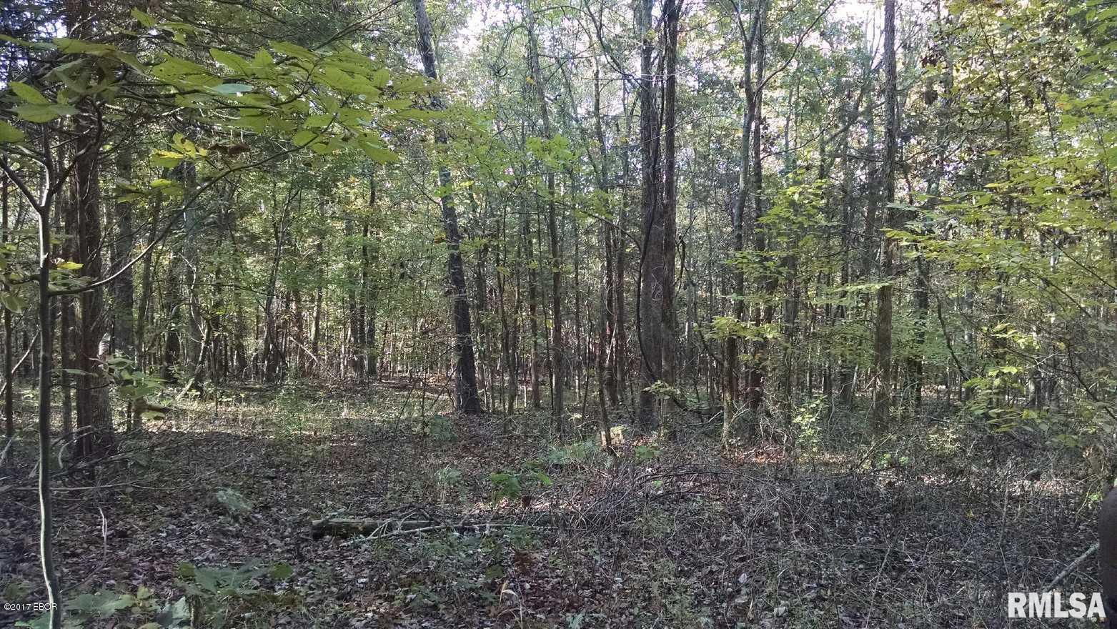 0 Gilead Church Road Simpson, IL 62985 - Photo 1 of 11