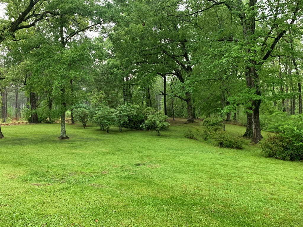 6278 North Greensburg Road Summit, MS 39666 - Photo 13 of 14 Photo 13