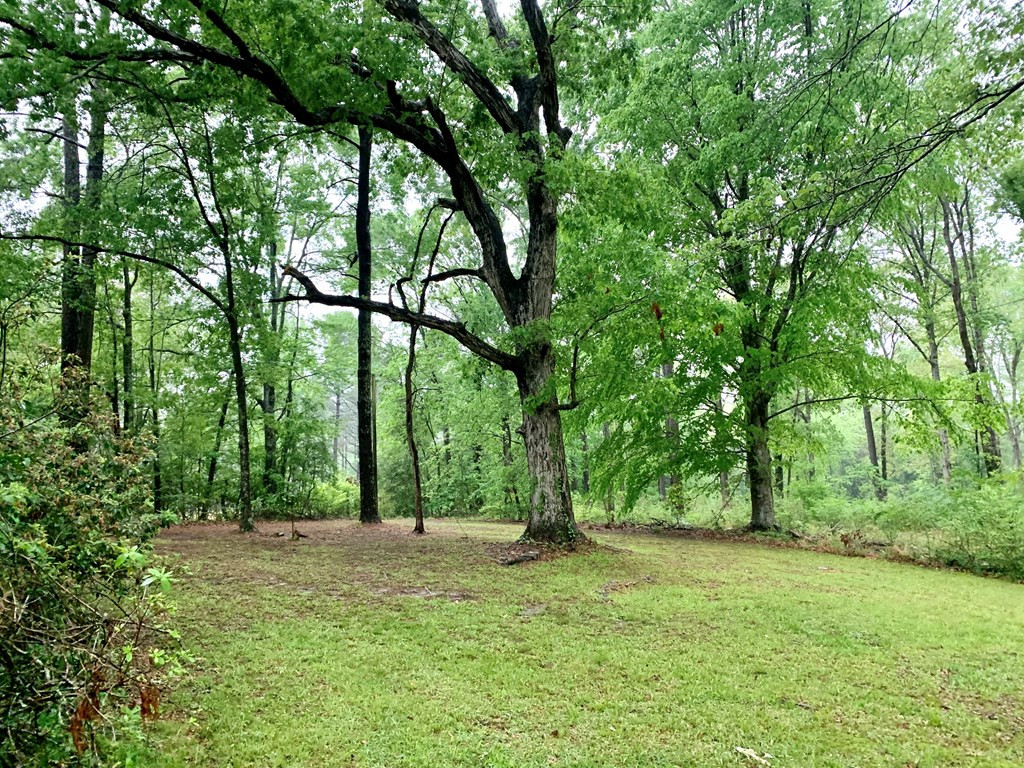 6278 North Greensburg Road Summit, MS 39666 - Photo 3 of 14 Photo 3