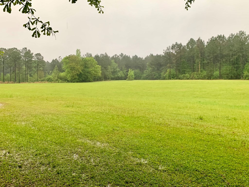 6278 North Greensburg Road Summit, MS 39666 - Photo 7 of 14 Photo 7