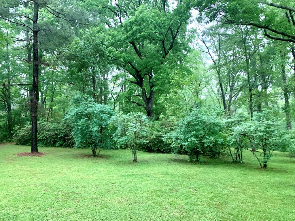 6278 North Greensburg Road Summit, MS 39666 - Photo 10 of 14 Blueberry bushes