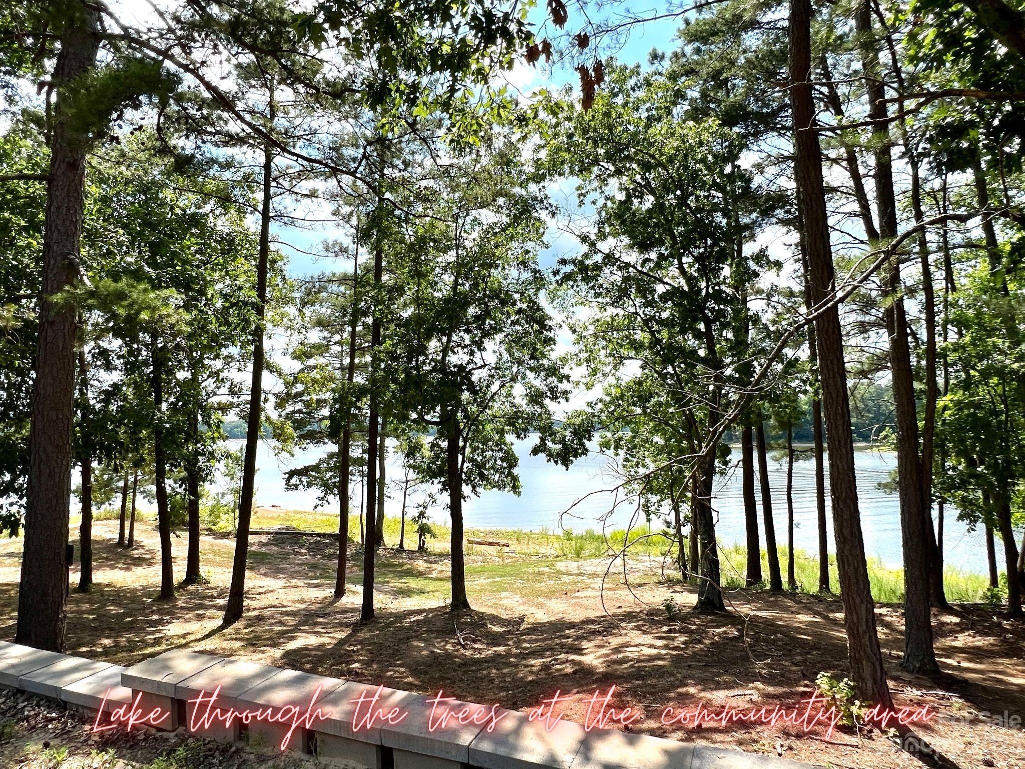 Lot 8 Blewett Falls Road, Unit 8 Rockingham, NC 28379 - Photo 11 of 15 a view of a yard with trees