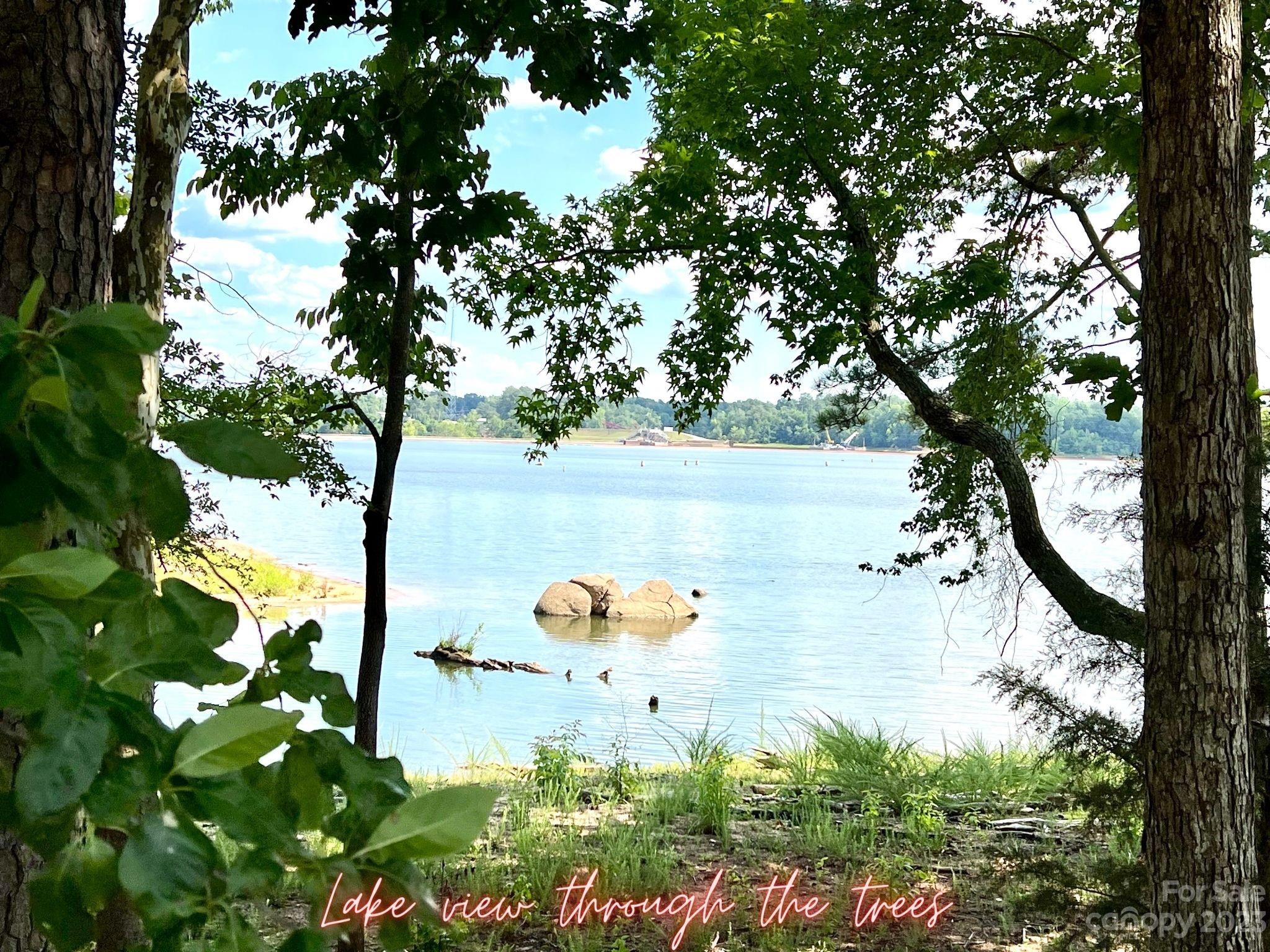 Lot 8 Blewett Falls Road, Unit 8 Rockingham, NC 28379 - Photo 12 of 15