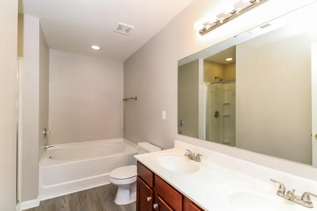 a bathroom with a bathtub shower sink vanity and toilet