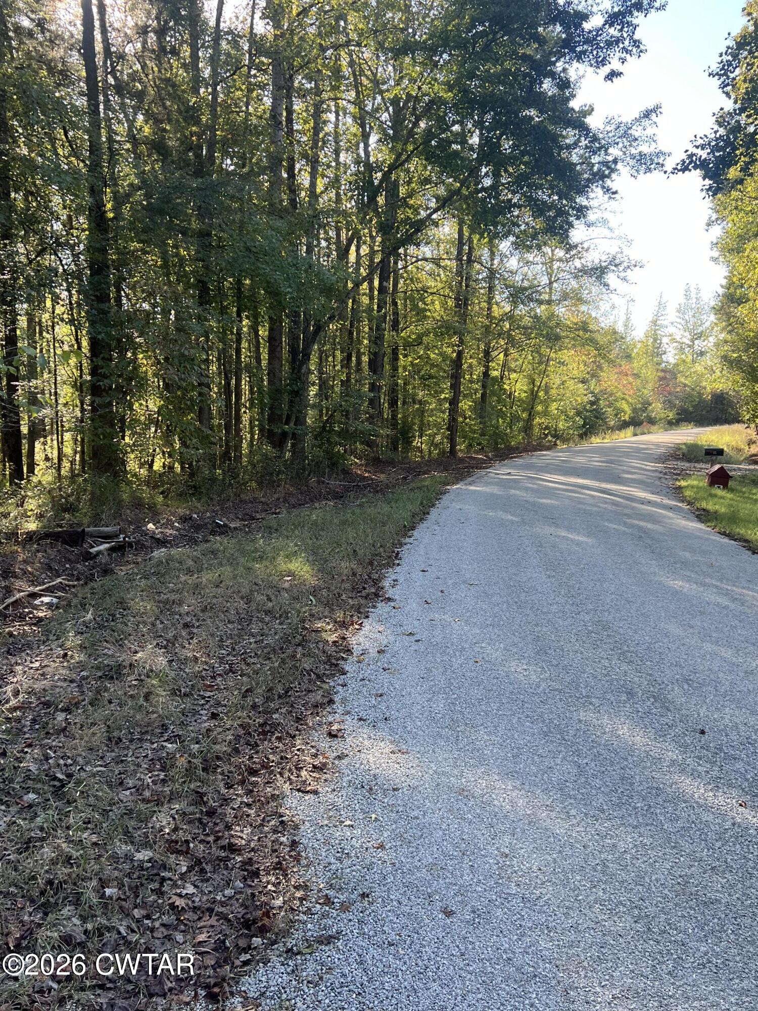 0 Butler Road Pinson, TN 38366 - Photo 2 of 4 IMG_9345