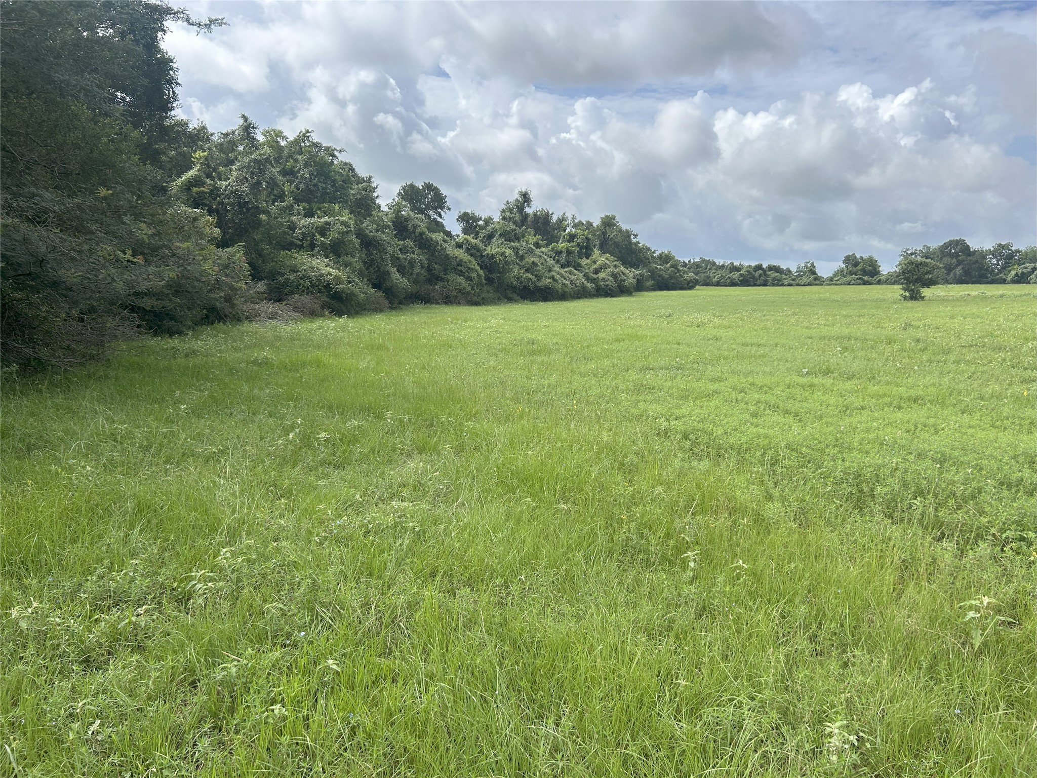 Tbd Holik Road Hempstead, TX 77445 - Photo 24 of 50
