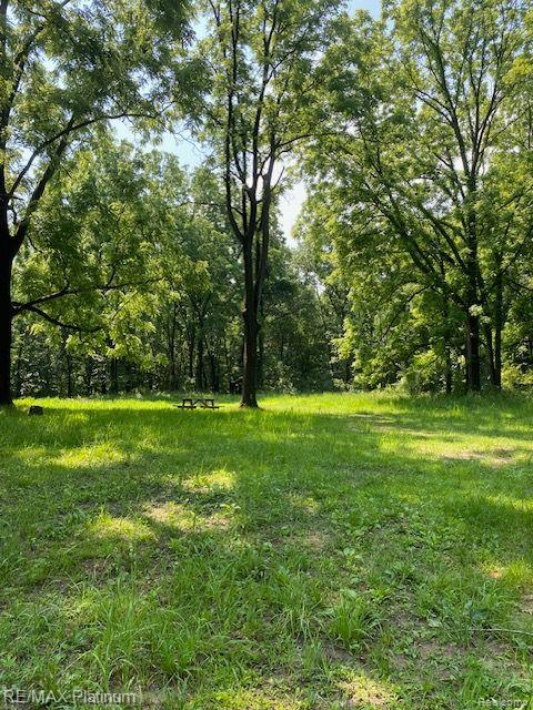 7 Sleaford-parcel 7 - 2 Acres Road Howell, MI 48843 - Photo 39 of 45