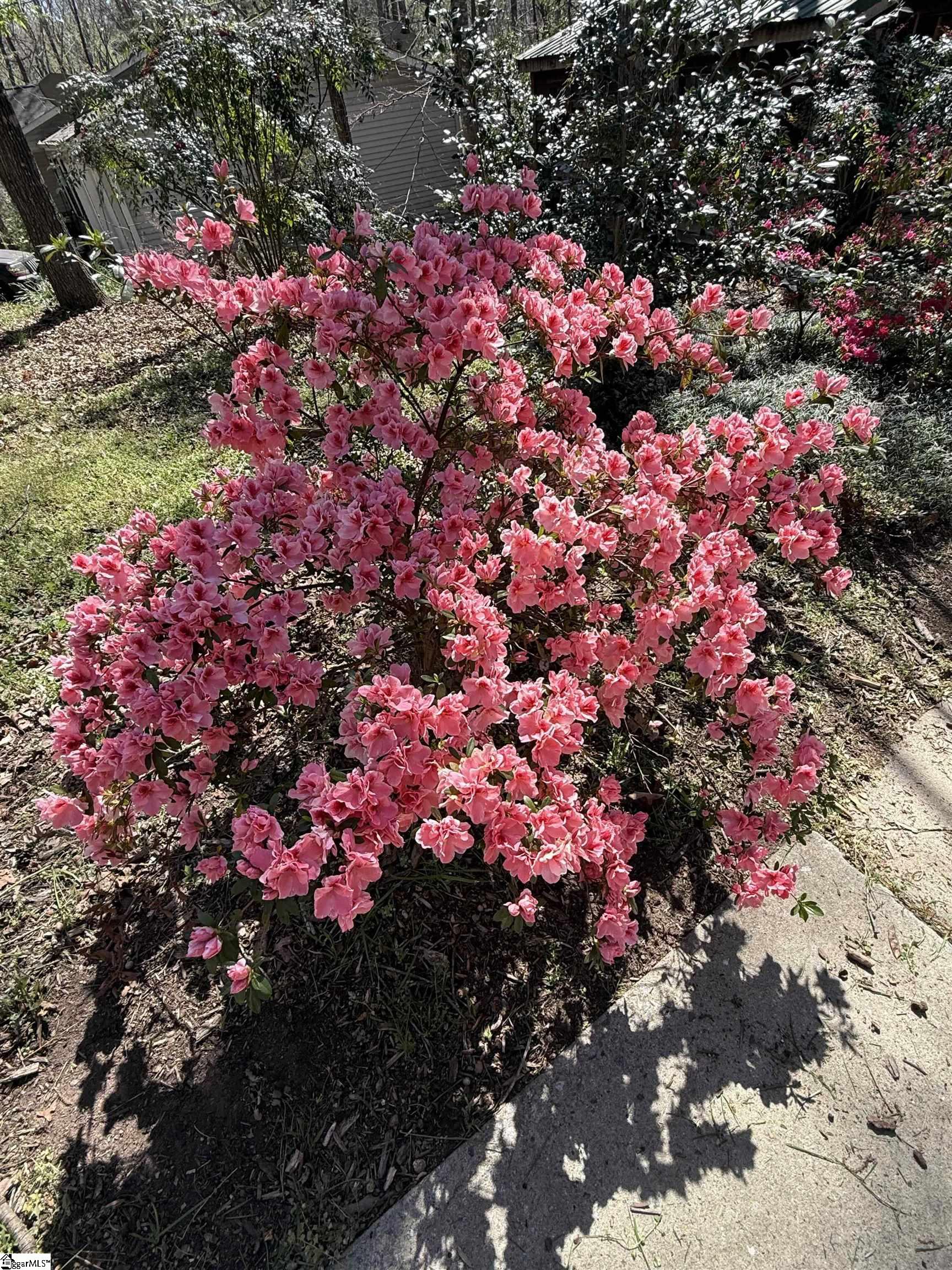 2000 Ridgeview Lane Seneca, SC 29678 - Photo 48 of 50