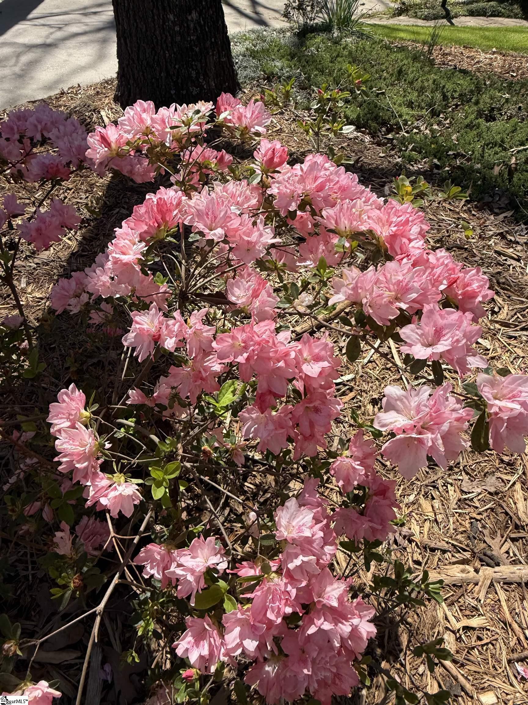 2000 Ridgeview Lane Seneca, SC 29678 - Photo 49 of 50