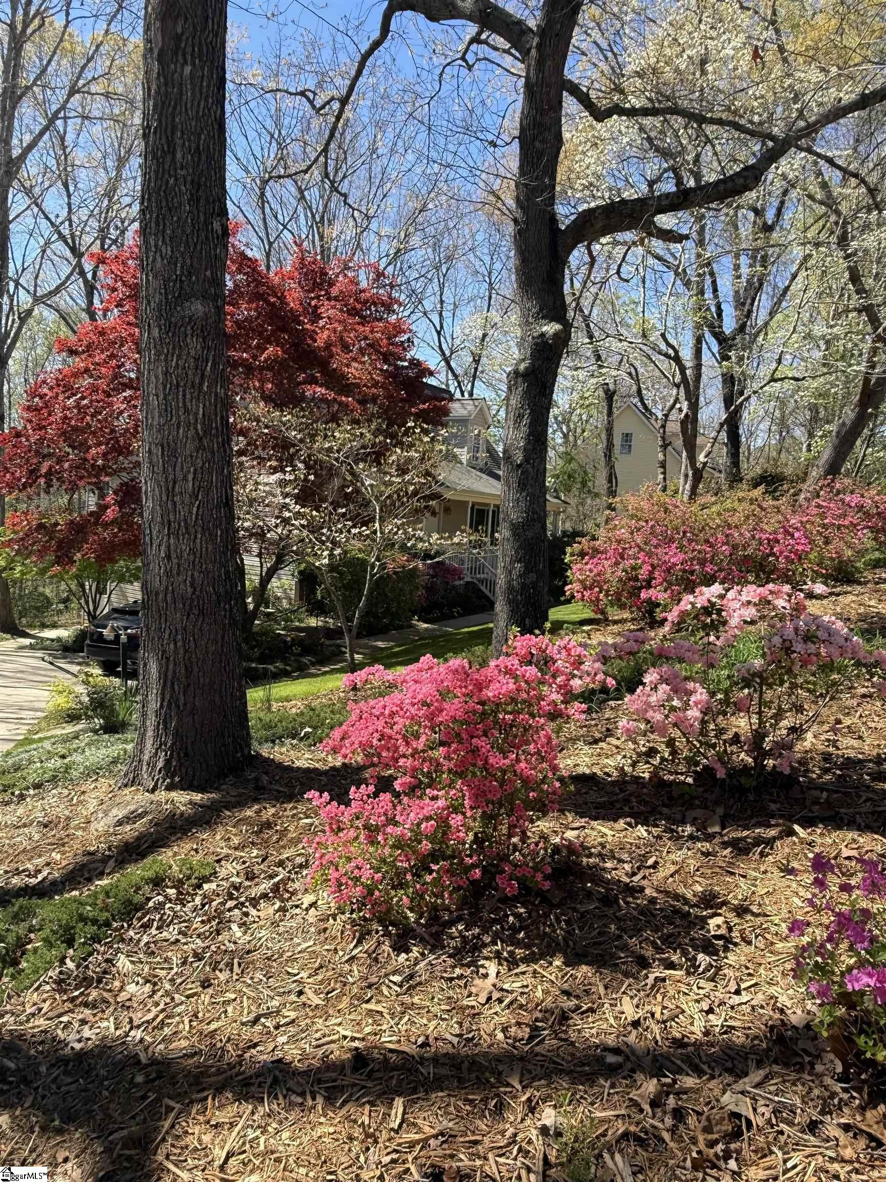 2000 Ridgeview Lane Seneca, SC 29678 - Photo 7 of 50