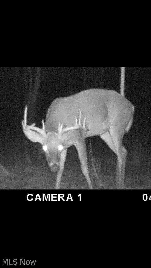 5942 Everett Hull Road Fowler, OH 44418 - Photo 29 of 33 Gallery Image 29