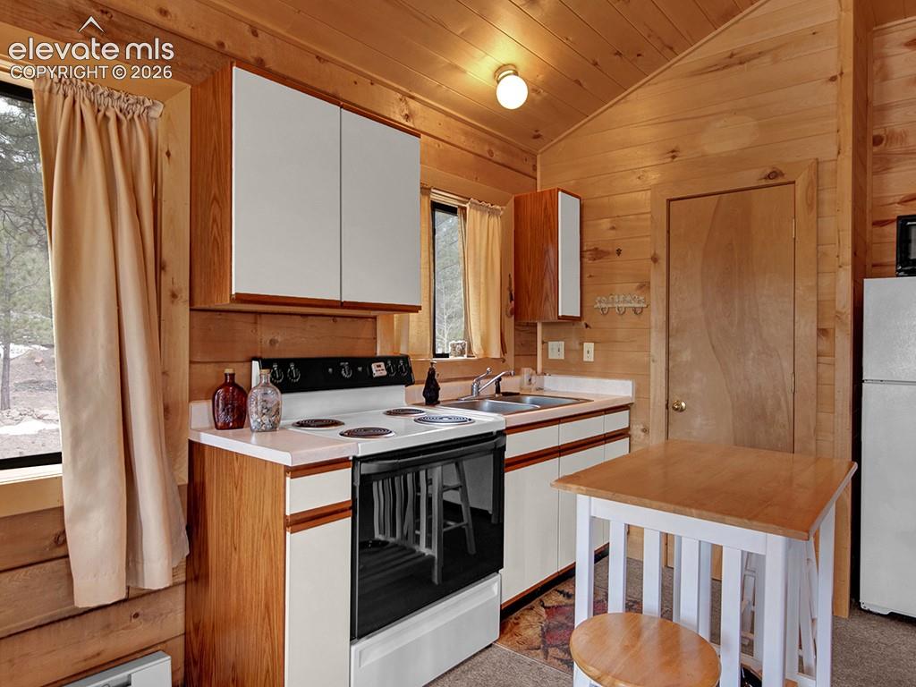 1462 Pulver Road Lake George, CO 80827 - Photo 11 of 25 Gallery Image 11