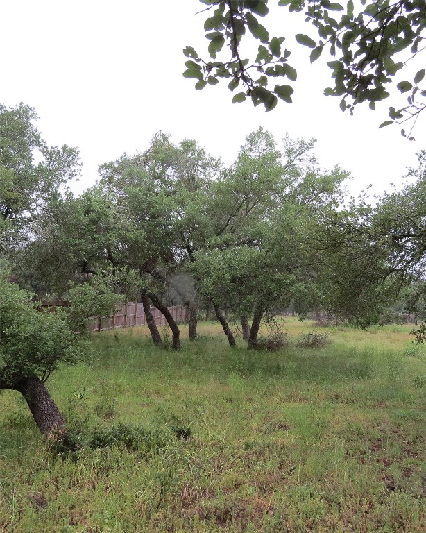 0 Pecos Drive Wimberley, TX 78676 - Photo 1 of 12 a view of a green field with lots of bushes
