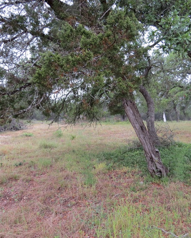 0 Pecos Drive Wimberley, TX 78676 - Photo 6 of 12 a view of a yard with a tree