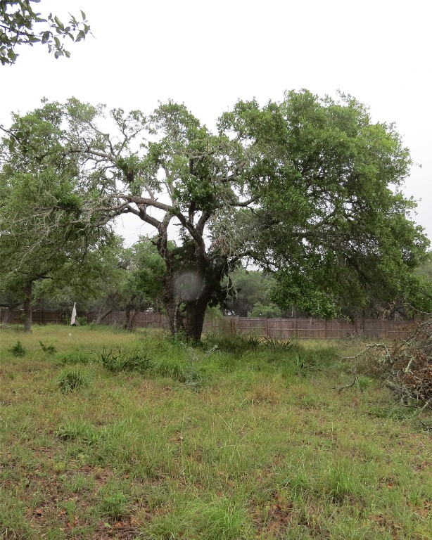0 Pecos Drive Wimberley, TX 78676 - Photo 9 of 12 a big yard with lots of green space and deers