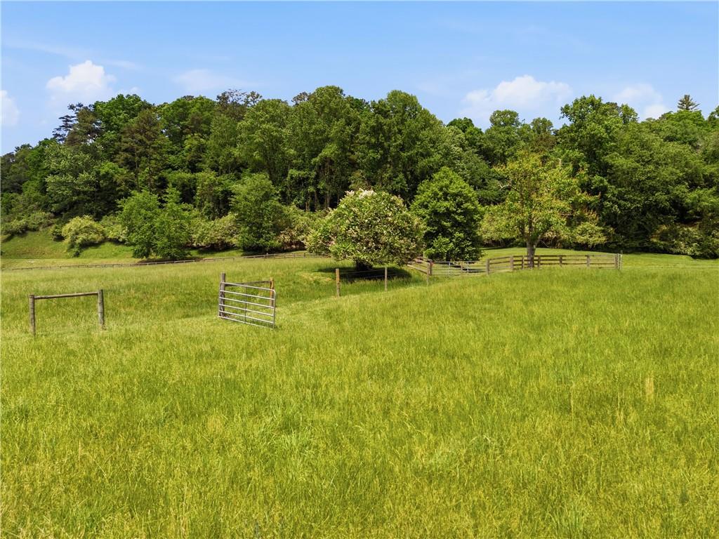 619 Hamp Mill Road Dahlonega, GA 30533 - Photo 109 of 118