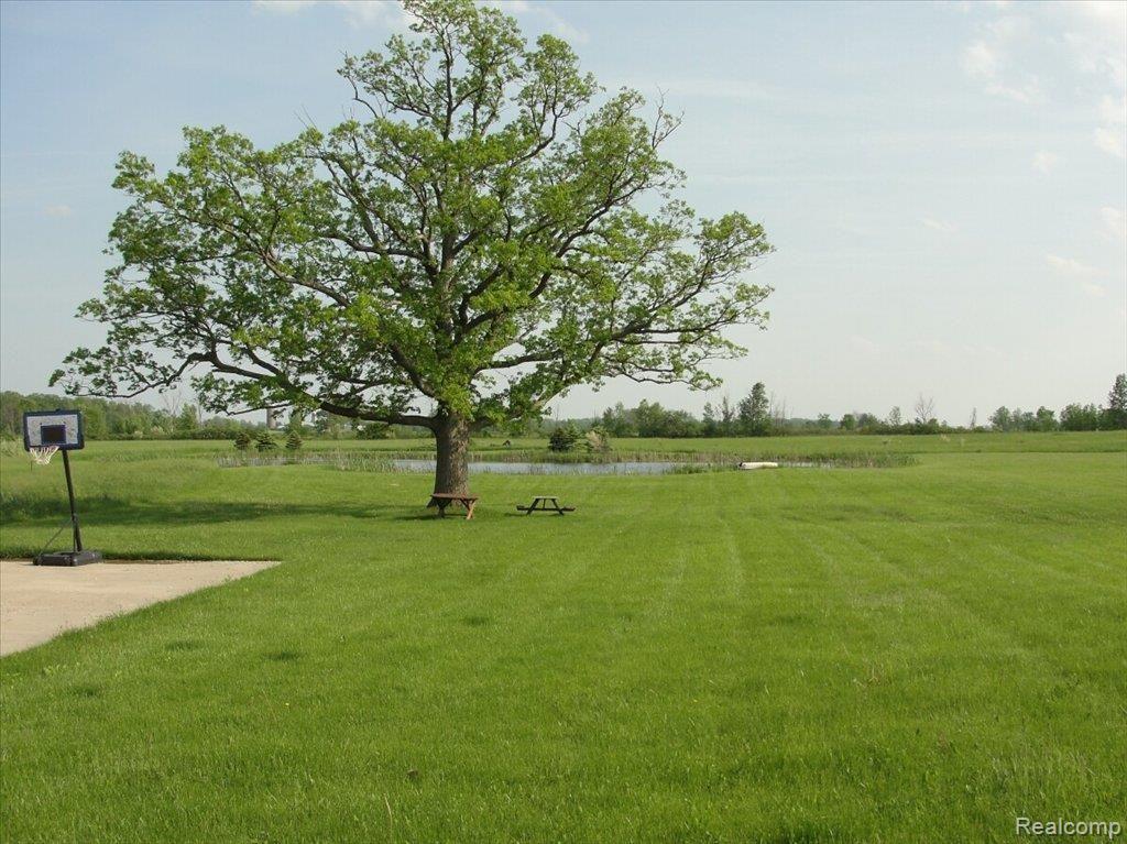 8080 Church Road Imlay City, MI 48444 - Photo 19 of 21 pond-3