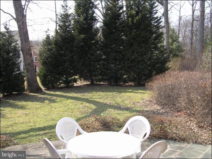 9504 St Andrews Way Silver Spring, MD 20901 - Photo 12 of 12 Back yard