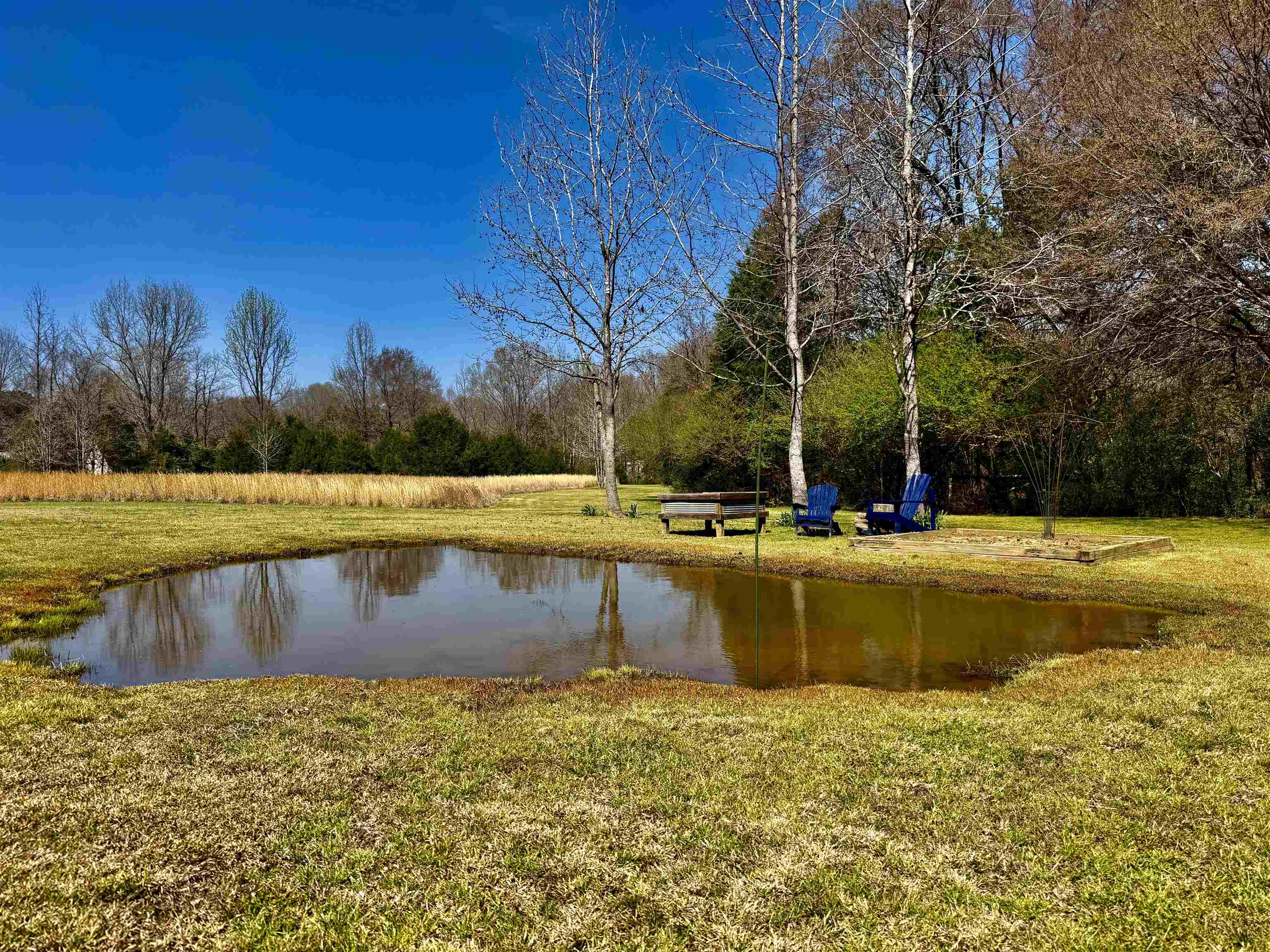 6195 Bobbitt Road Moscow, TN 38057 - Photo 14 of 40 a view of swimming pool with outdoor seating and yard