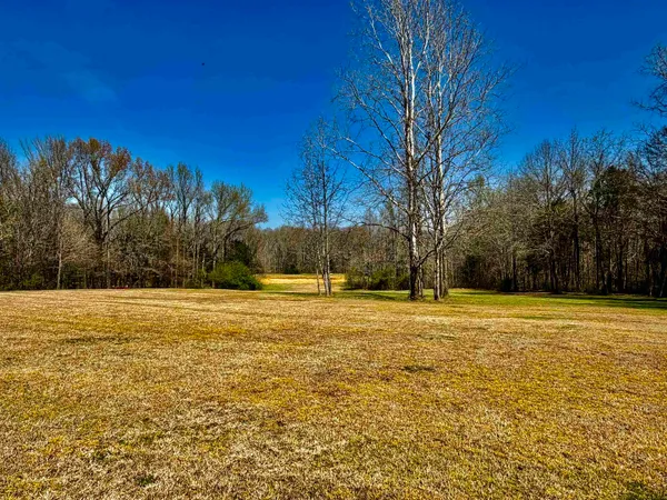 a view of an ocean and beach