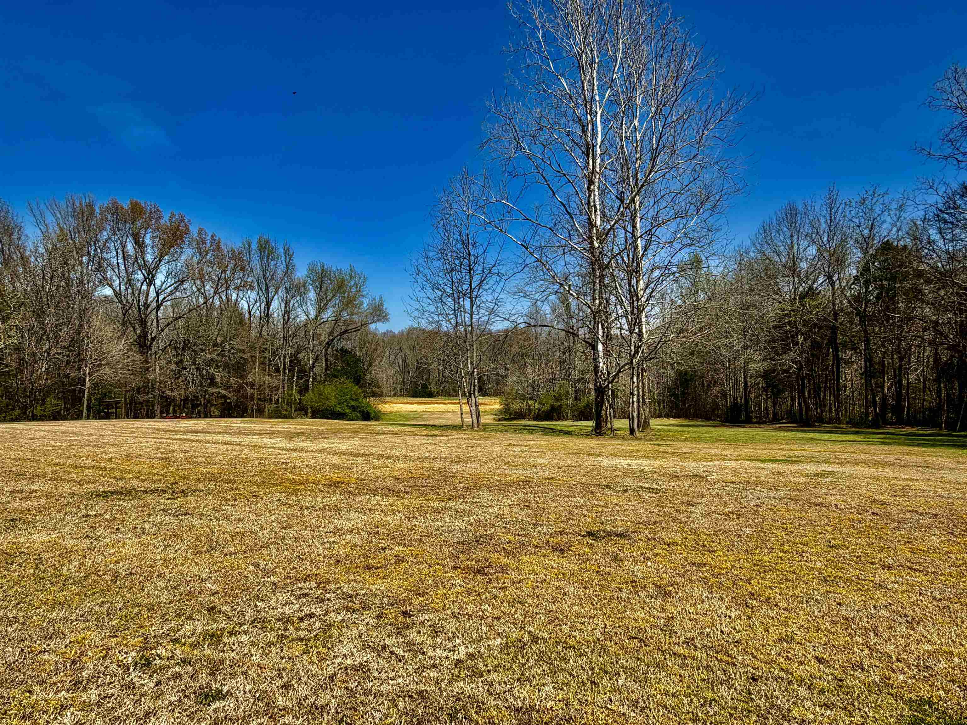 6195 Bobbitt Road Moscow, TN 38057 - Photo 18 of 40 a view of an ocean and beach