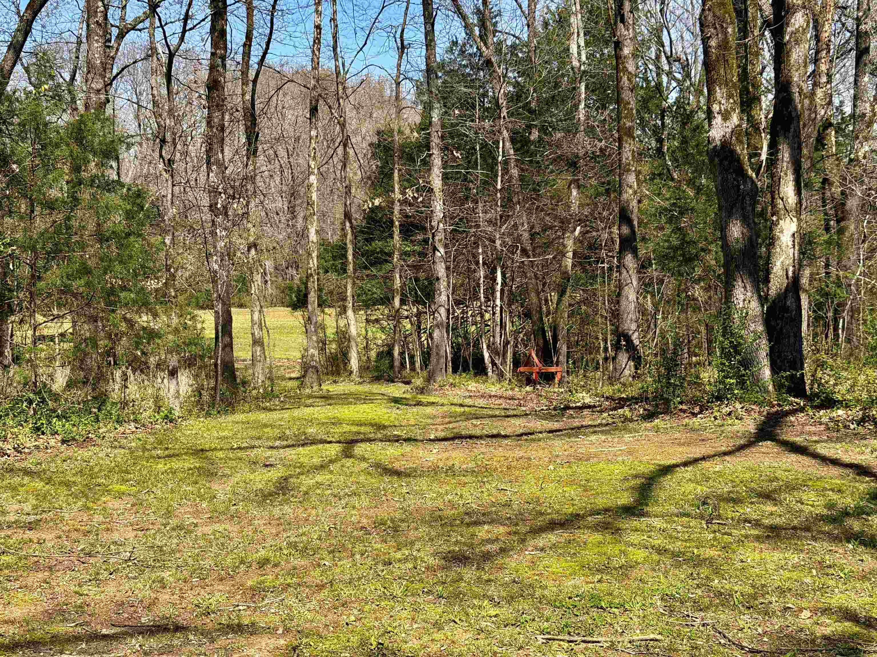 6195 Bobbitt Road Moscow, TN 38057 - Photo 19 of 40 a view of swimming pool with an outdoor space and seating area