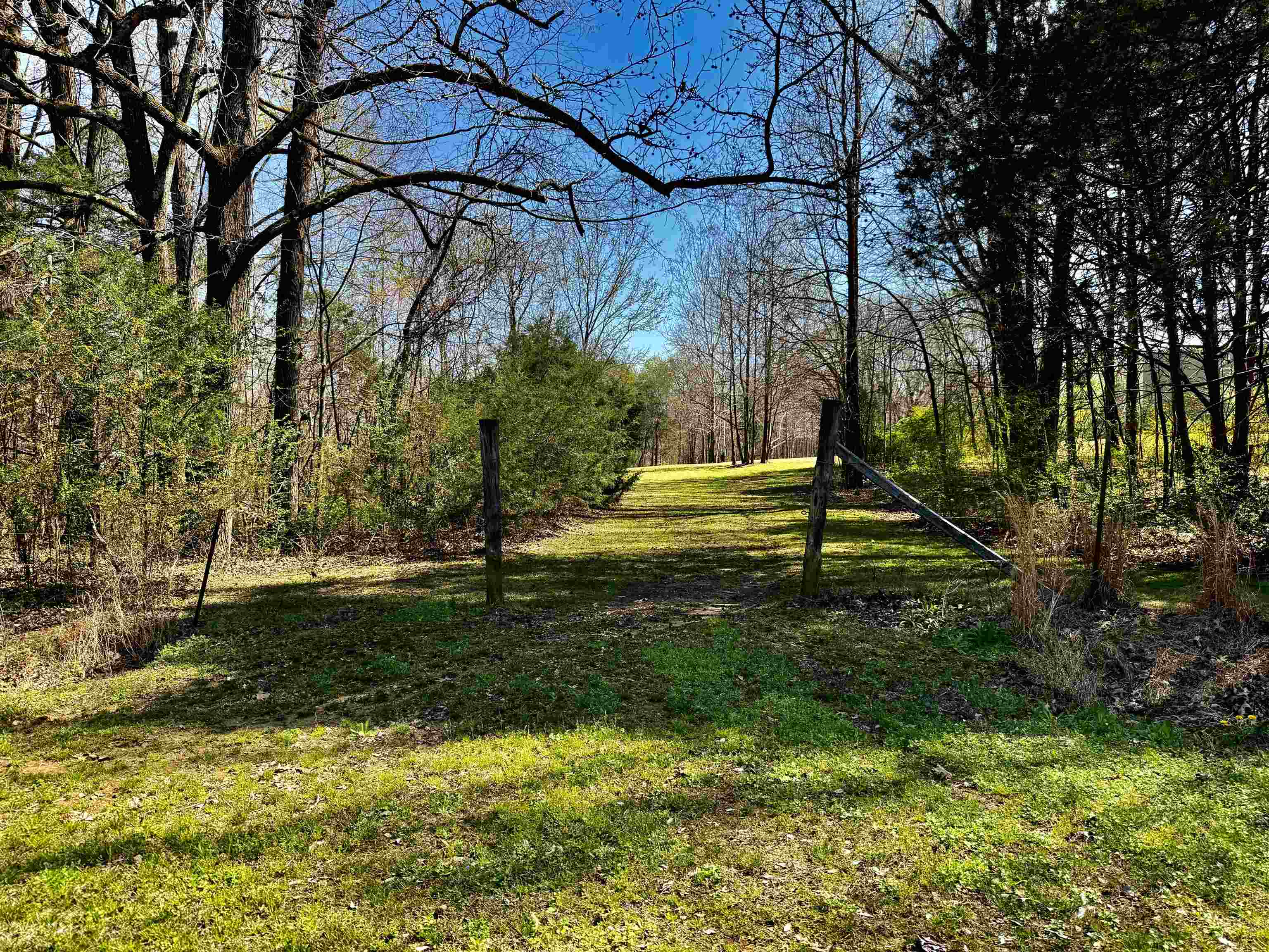 6195 Bobbitt Road Moscow, TN 38057 - Photo 20 of 40 a backyard of a house with lots of green space
