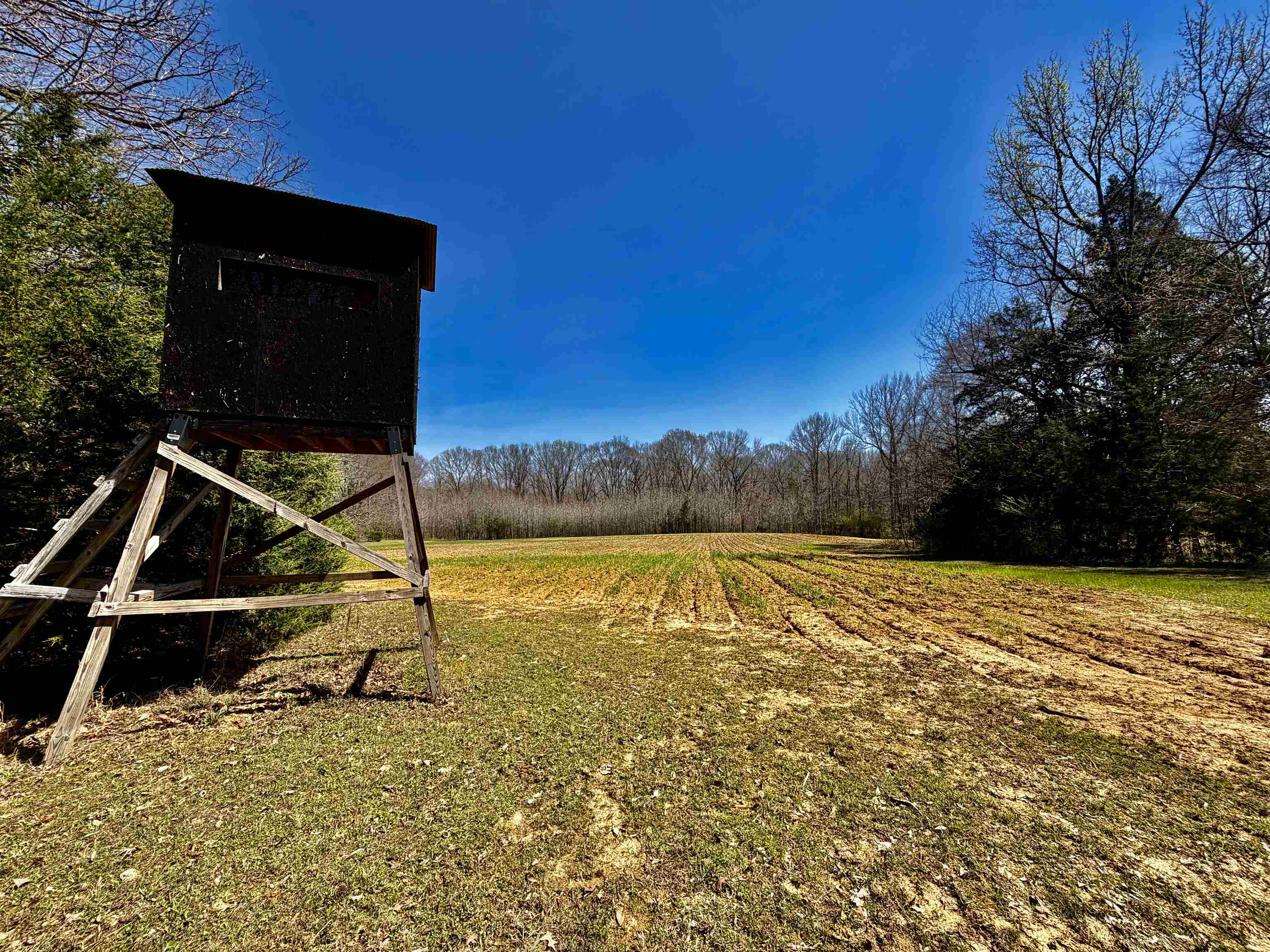 6195 Bobbitt Road Moscow, TN 38057 - Photo 21 of 40 a view of a pool