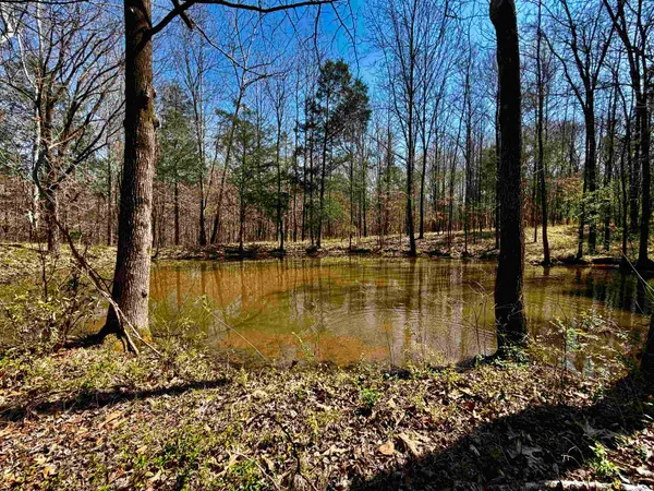 a view of a lake view