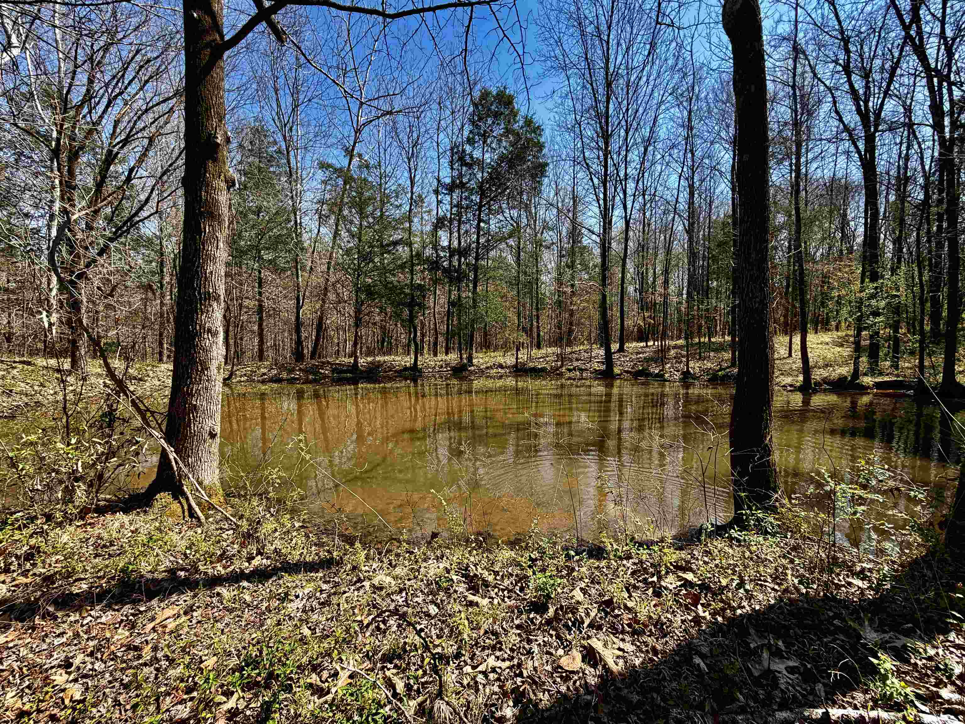 6195 Bobbitt Road Moscow, TN 38057 - Photo 22 of 40 a view of a lake view