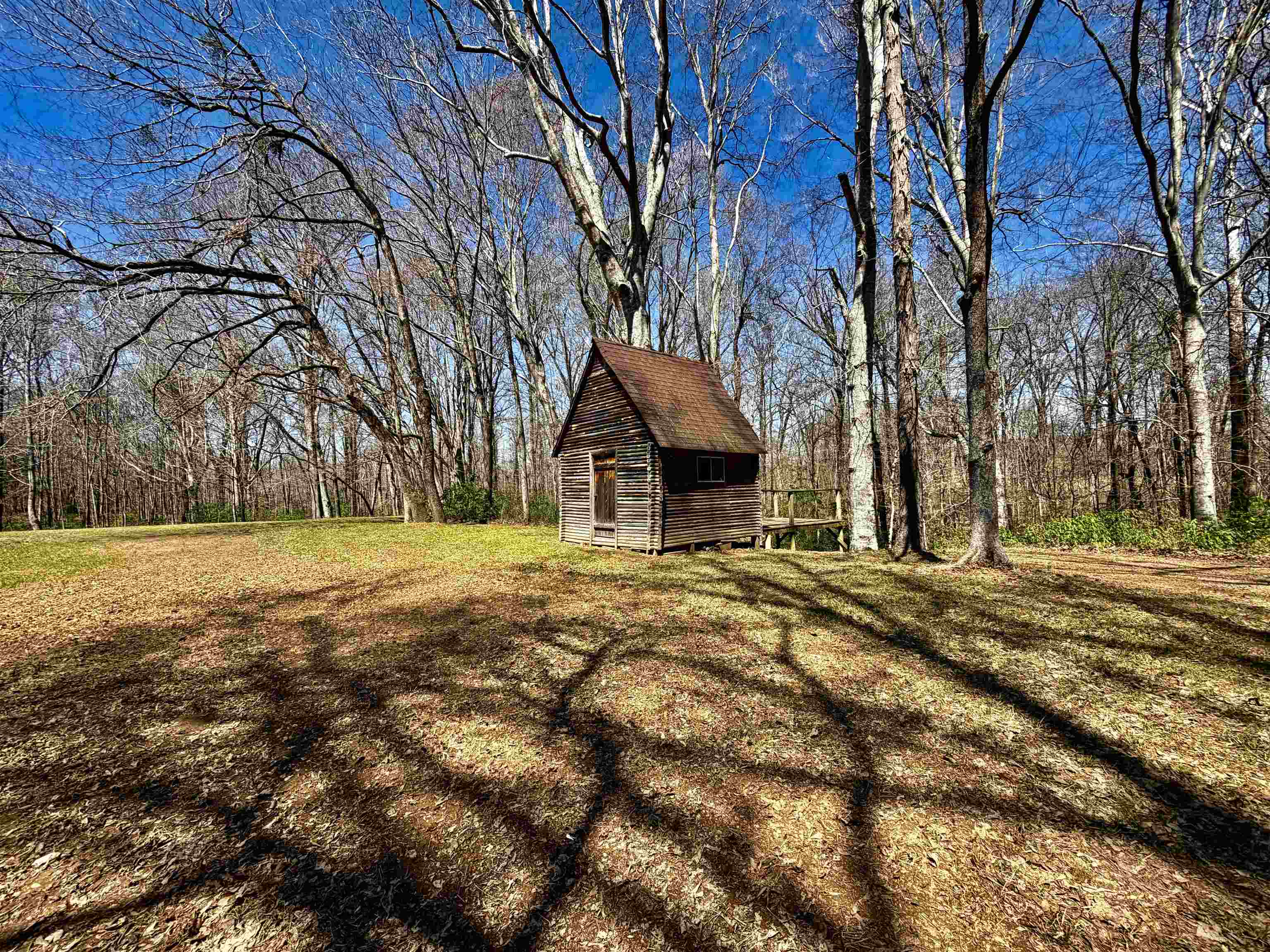 6195 Bobbitt Road Moscow, TN 38057 - Photo 24 of 40 a view of a house with a yard
