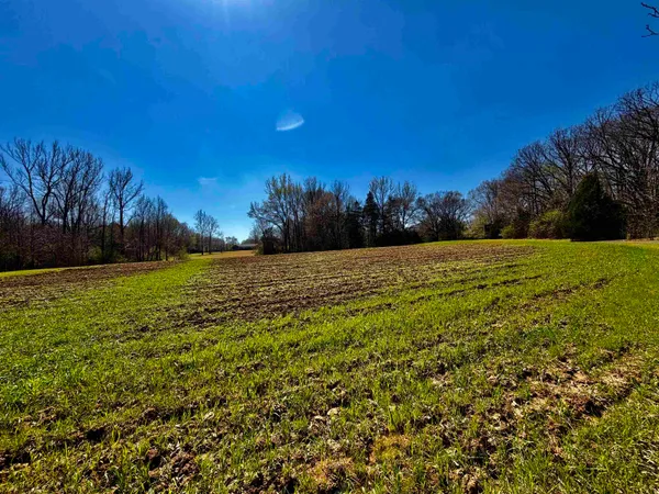 a view of grassy field with trees in the background
