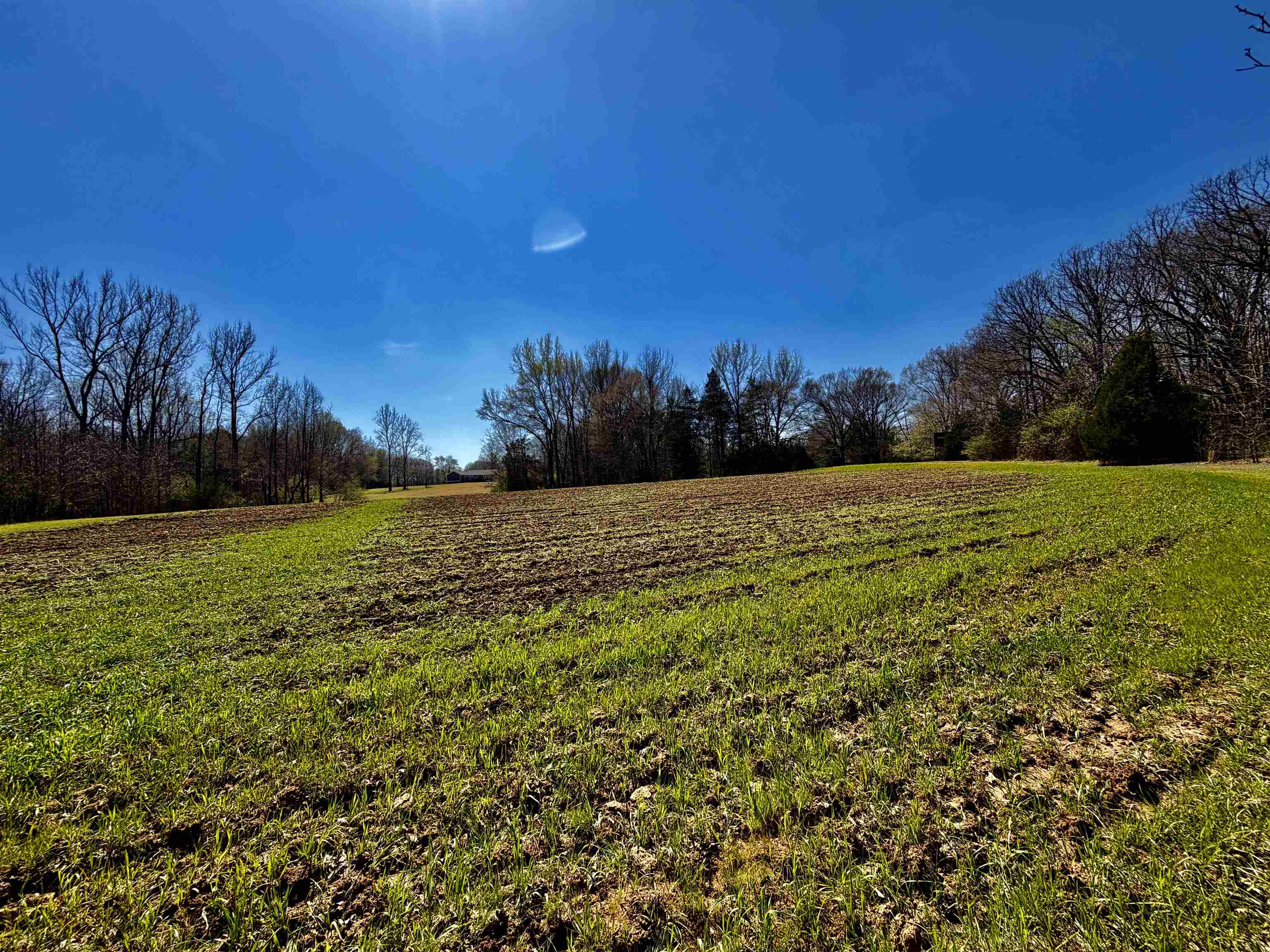 6195 Bobbitt Road Moscow, TN 38057 - Photo 26 of 40 a view of grassy field with trees in the background