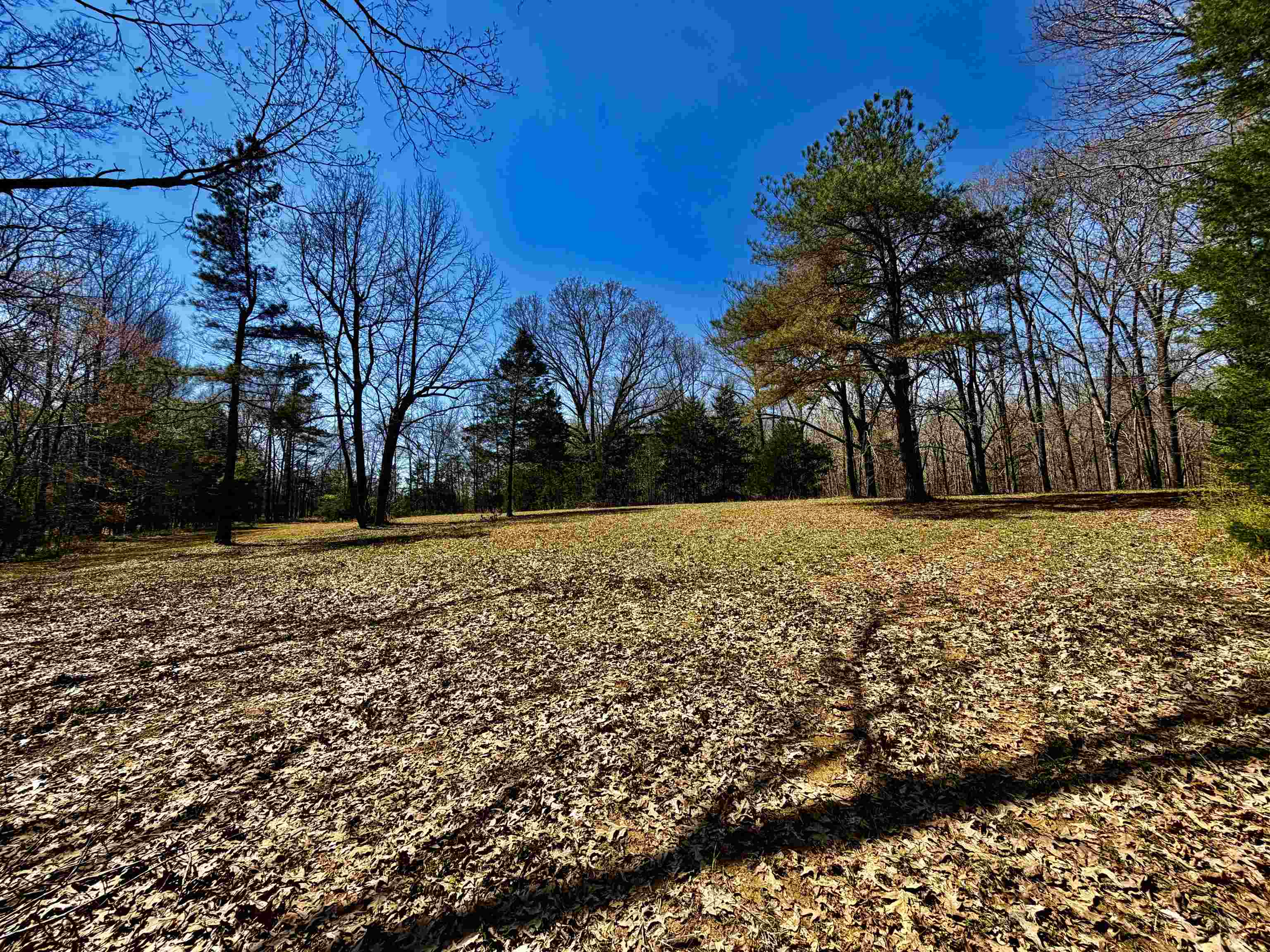 6195 Bobbitt Road Moscow, TN 38057 - Photo 28 of 40 a view of open space with green space