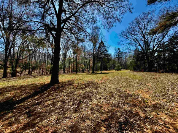 a view of outdoor space with trees