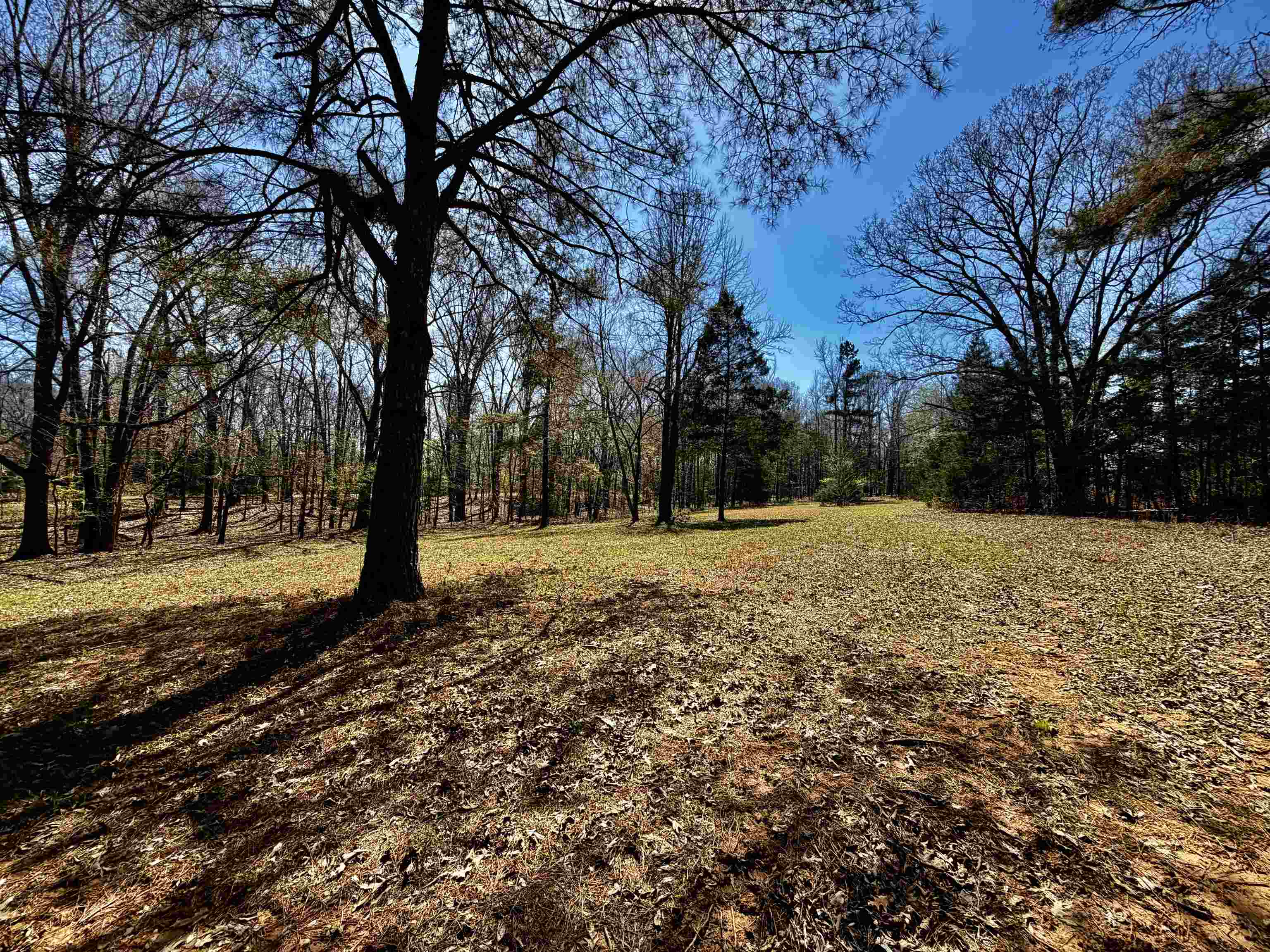 6195 Bobbitt Road Moscow, TN 38057 - Photo 29 of 40 a view of outdoor space with trees