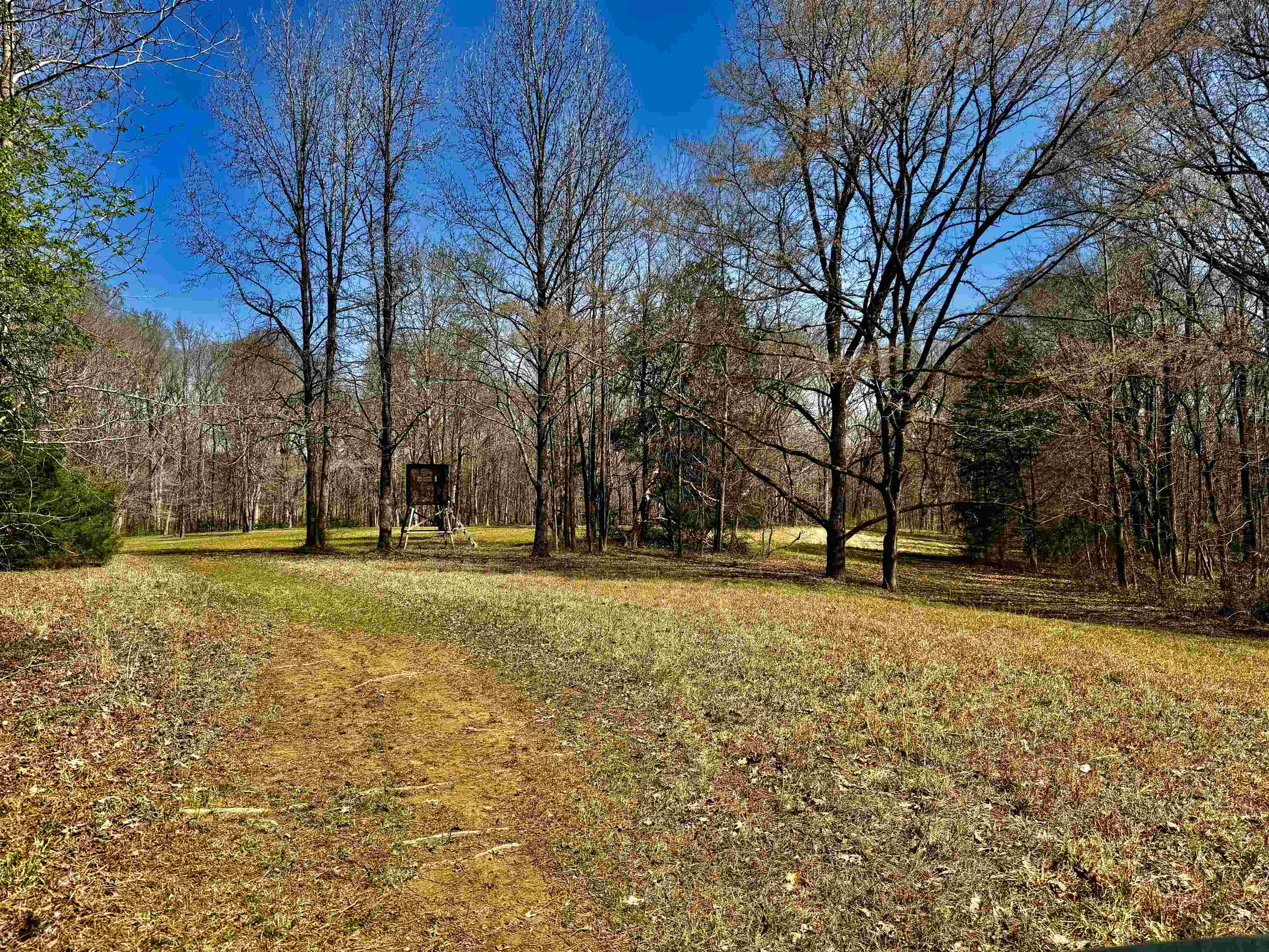 6195 Bobbitt Road Moscow, TN 38057 - Photo 30 of 40 a swimming pool with trees in the background