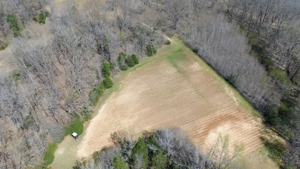 a view of a yard with a trees