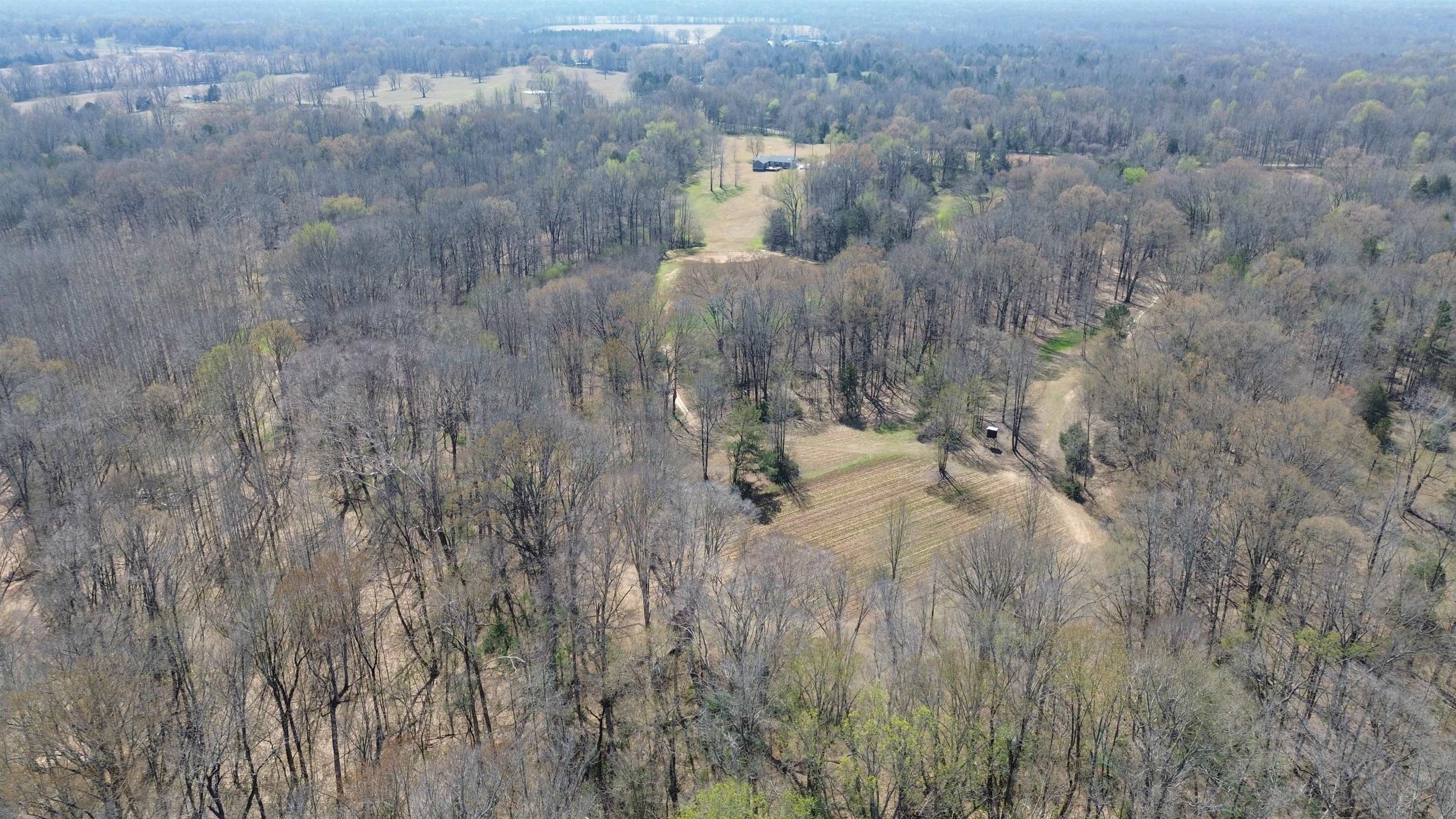 6195 Bobbitt Road Moscow, TN 38057 - Photo 34 of 40