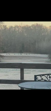 a view of sign board and flowers