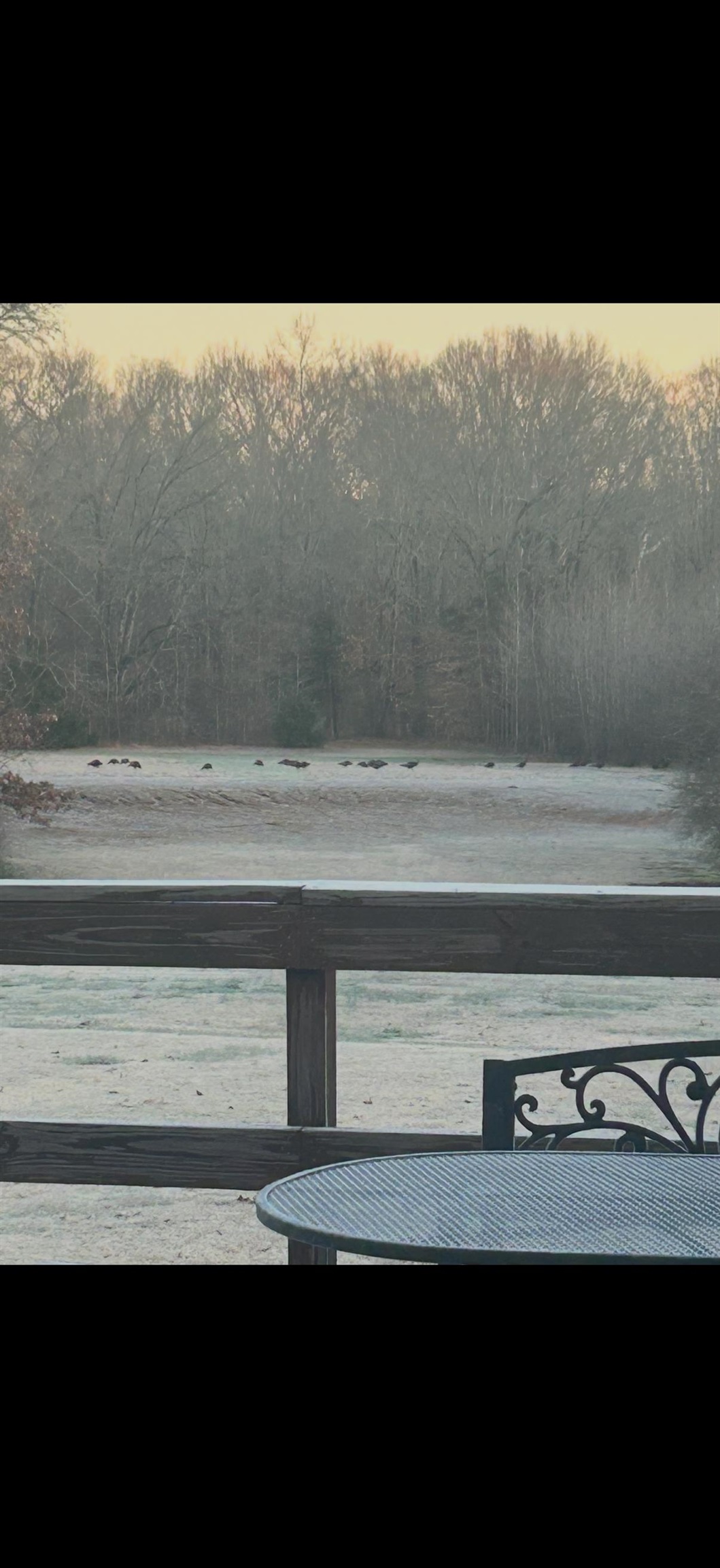 6195 Bobbitt Road Moscow, TN 38057 - Photo 38 of 40 a black and white photo of a cabinet