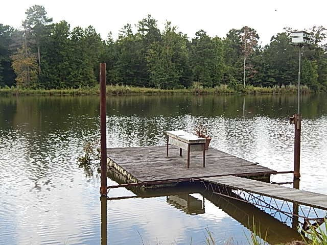 5748 Conehatta Road Decatur, MS 39327 - Photo 8 of 27 Photo 8