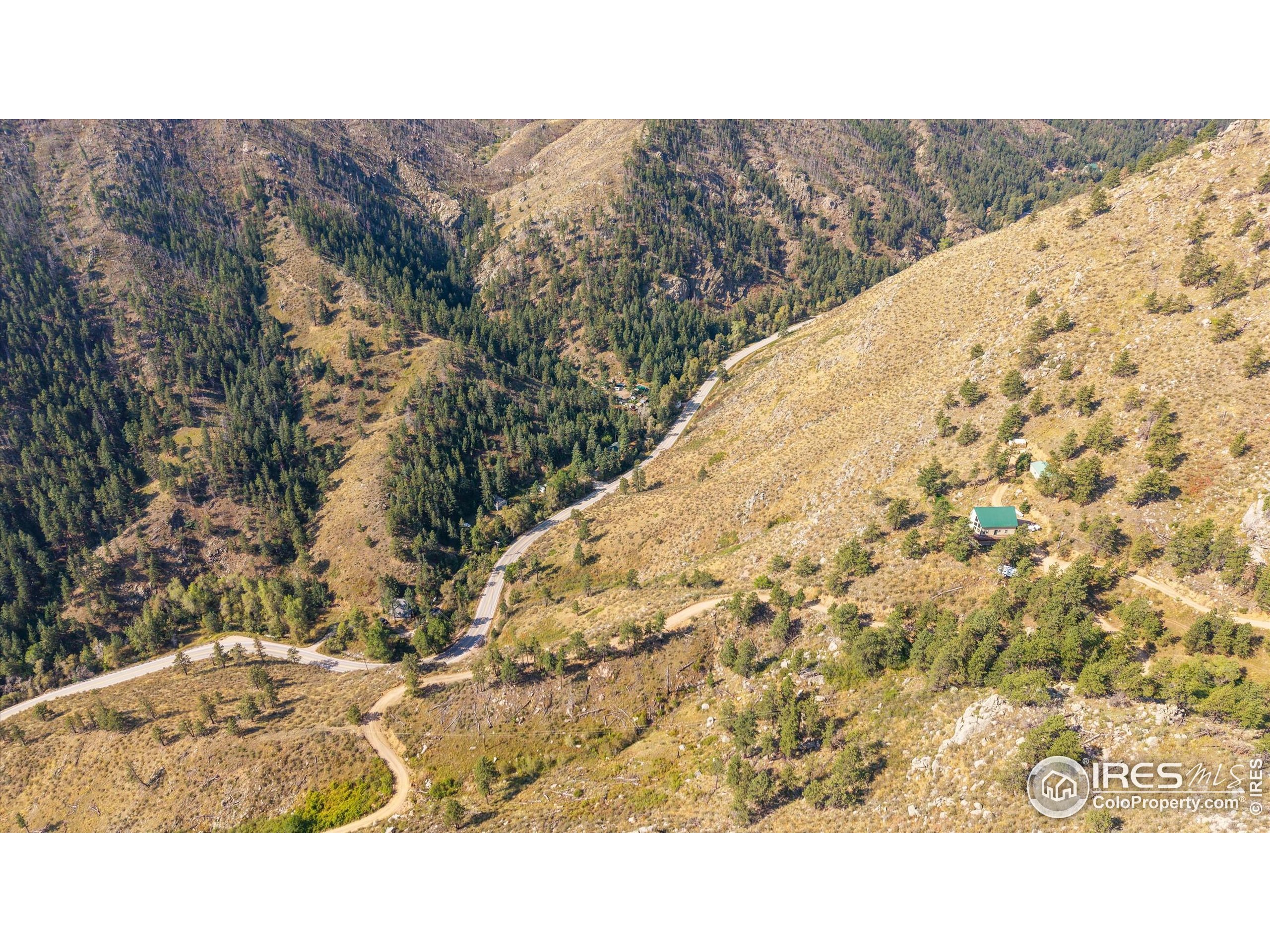 0 Pine Acres Way Bellvue, CO 80512 - Photo 14 of 29 a black and white photo of a house