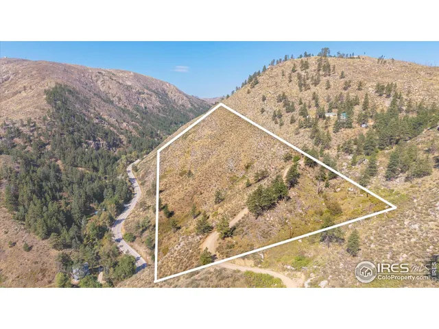 a black and white photo of a back yard