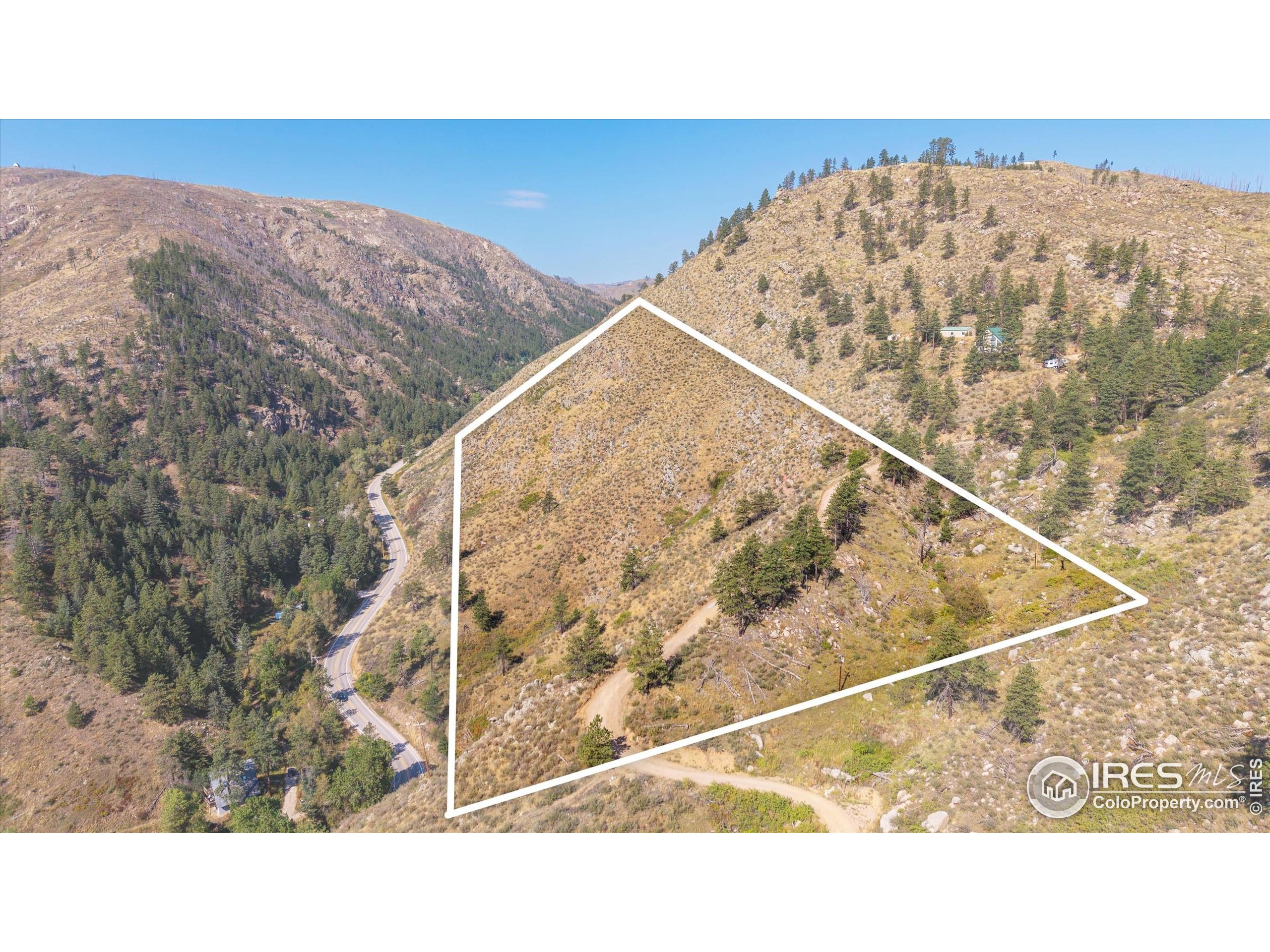 0 Pine Acres Way Bellvue, CO 80512 - Photo 20 of 29 a black and white photo of a back yard