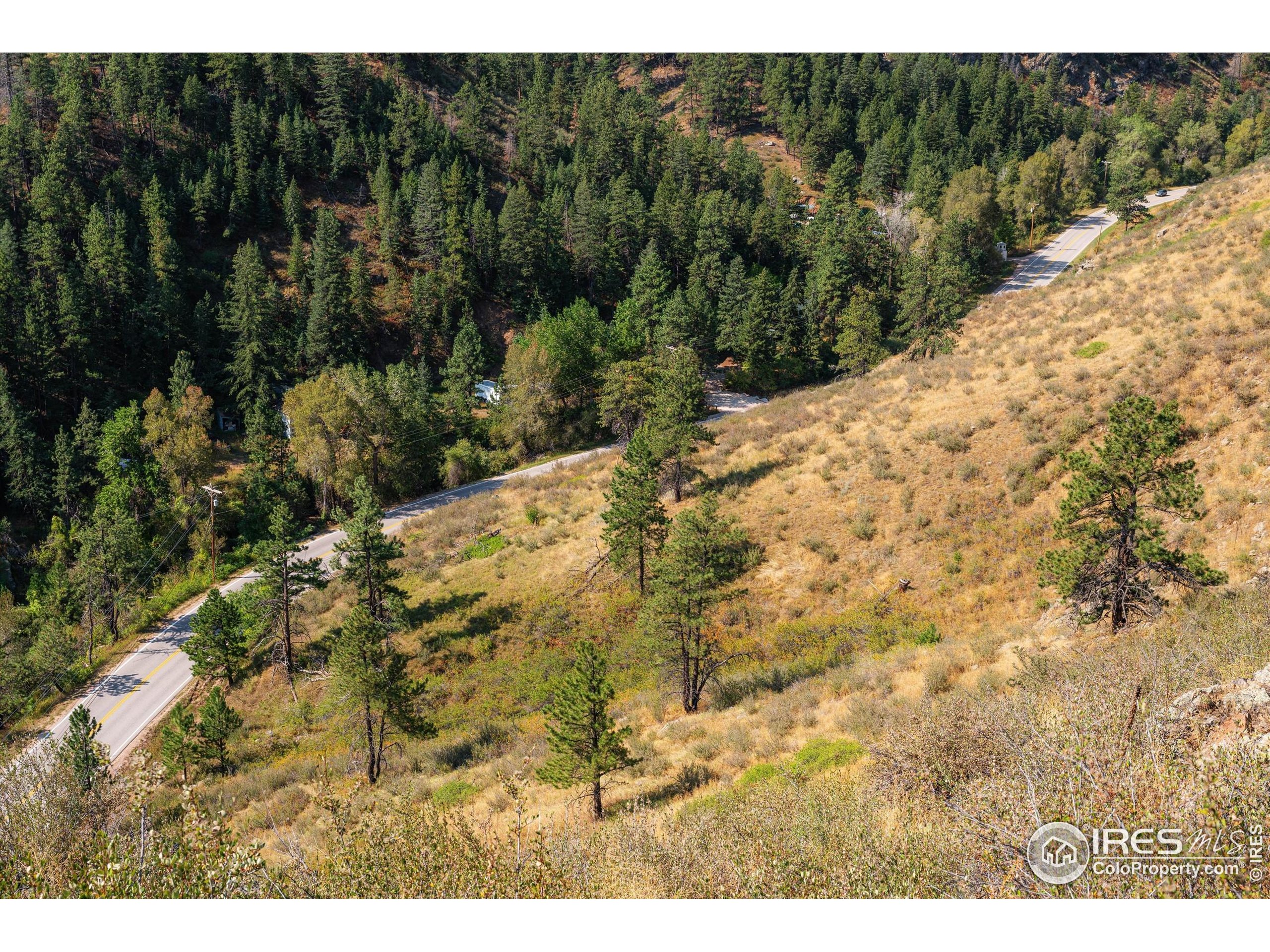 0 Pine Acres Way Bellvue, CO 80512 - Photo 2 of 29 a view of a yard with a tree