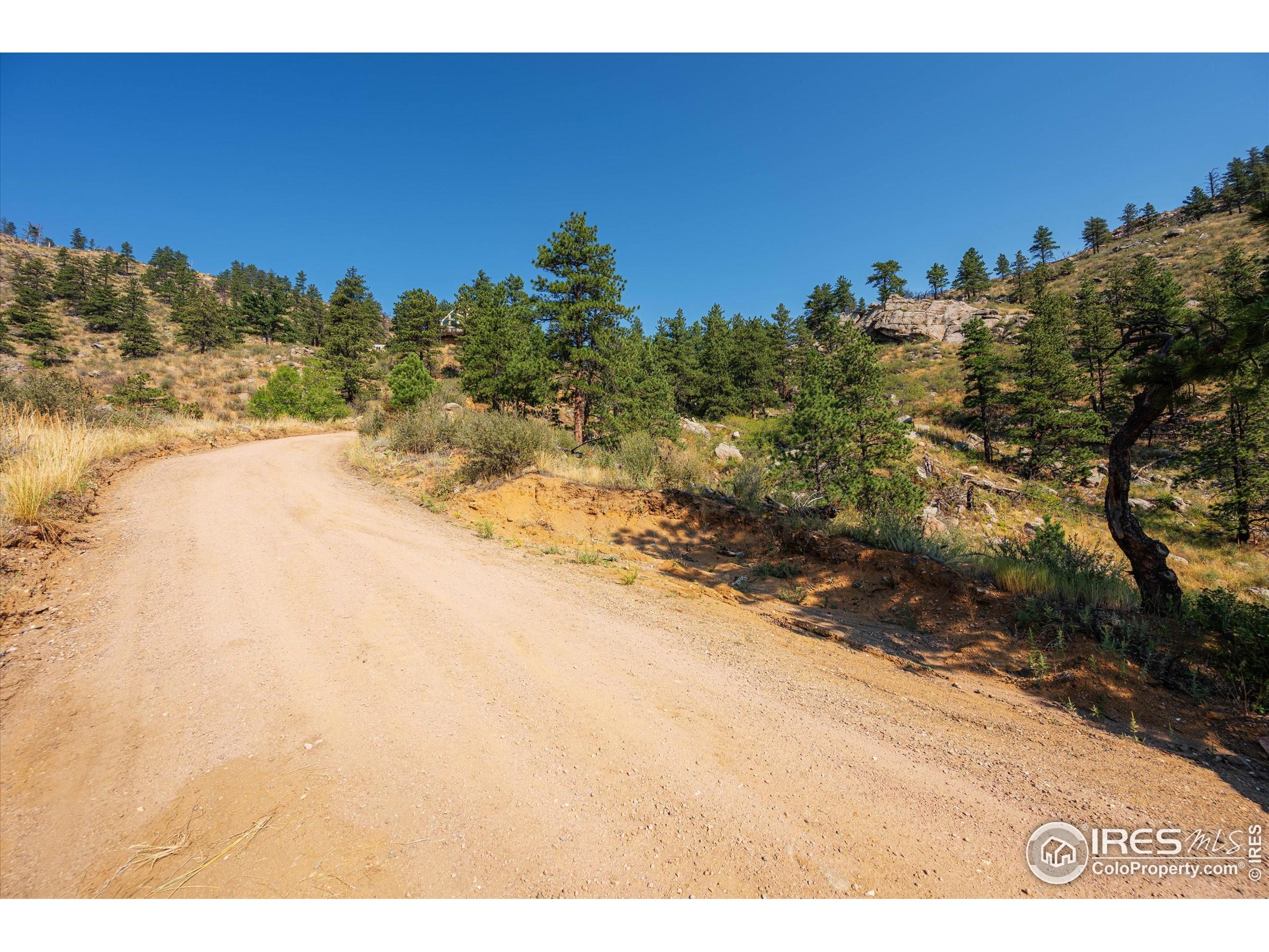 0 Pine Acres Way Bellvue, CO 80512 - Photo 21 of 29